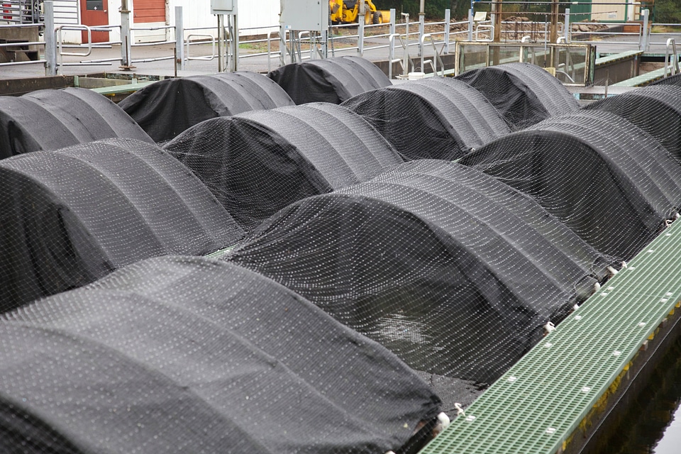 Abernathy Fish Technology Center