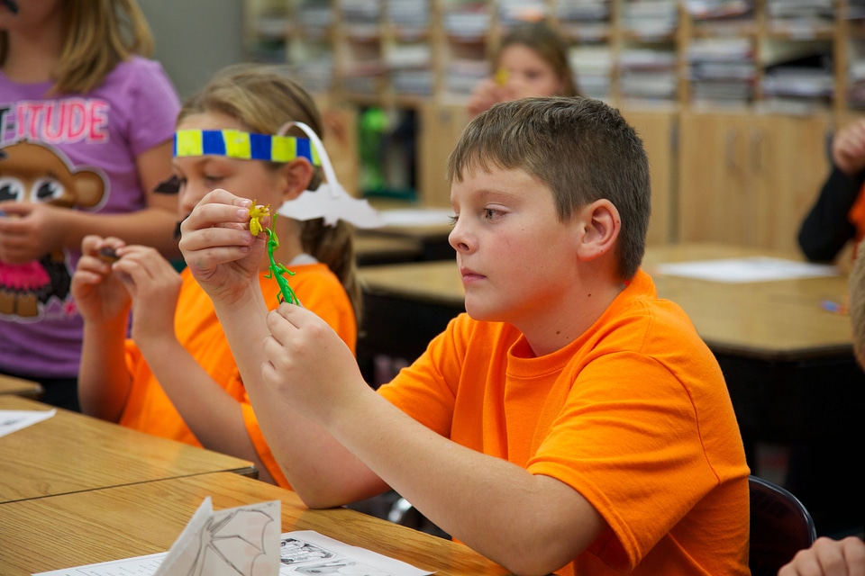 Bat education in the classroom