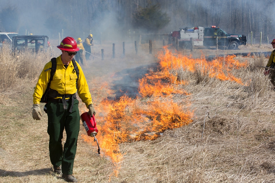 Prescribed burn at NCTC 