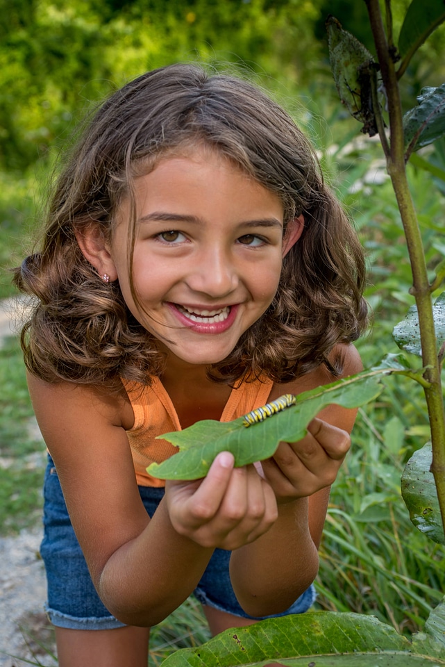Young girl looking at Monarch caterpillar