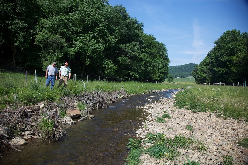Brook Trout Restoration