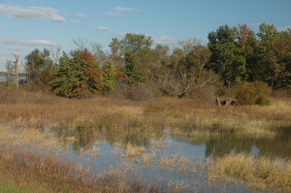Refuge scenic view