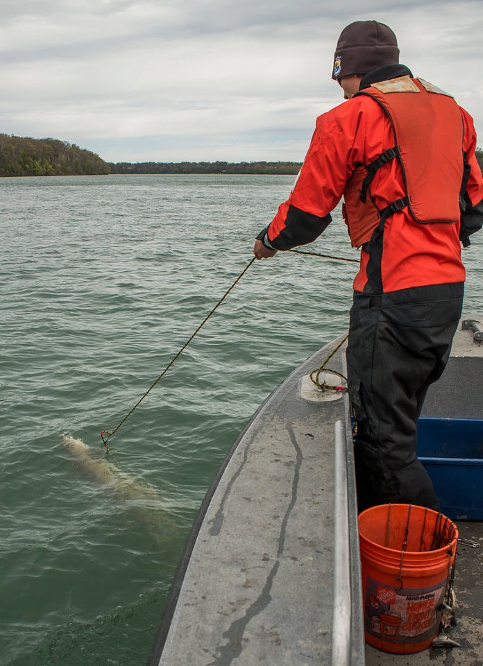USFWS Fisheries workers catching lake sturgeon