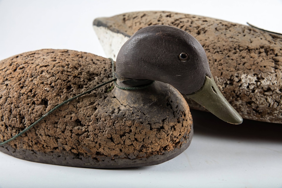 Waterfowl decoys-1