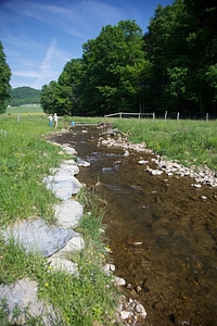 Brook Trout Restoration-3