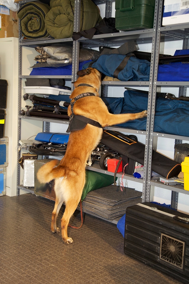 Law enforcement with K-9-1
