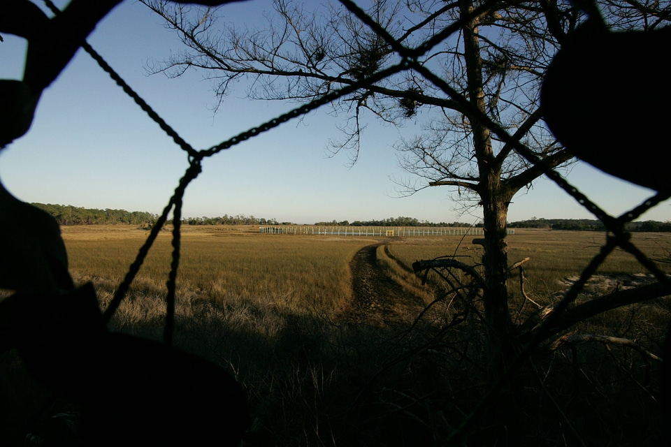 View of Whooping Crane holding pen from inside the blind