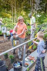 Planting a monarch garden