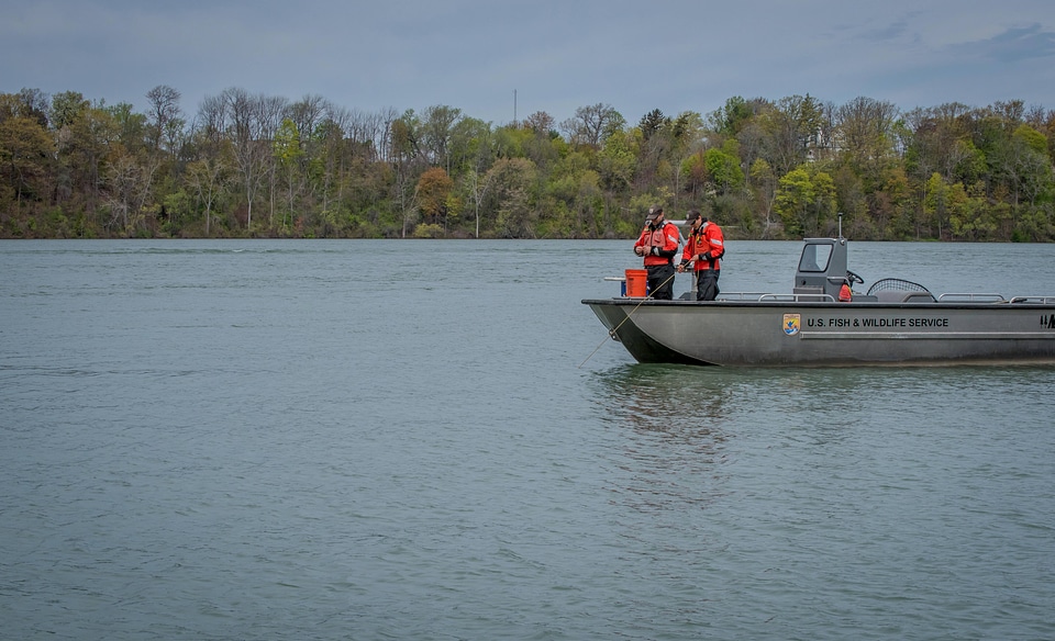 USFWS Fisheries crew in boat preparing for lake sturgeon field work
