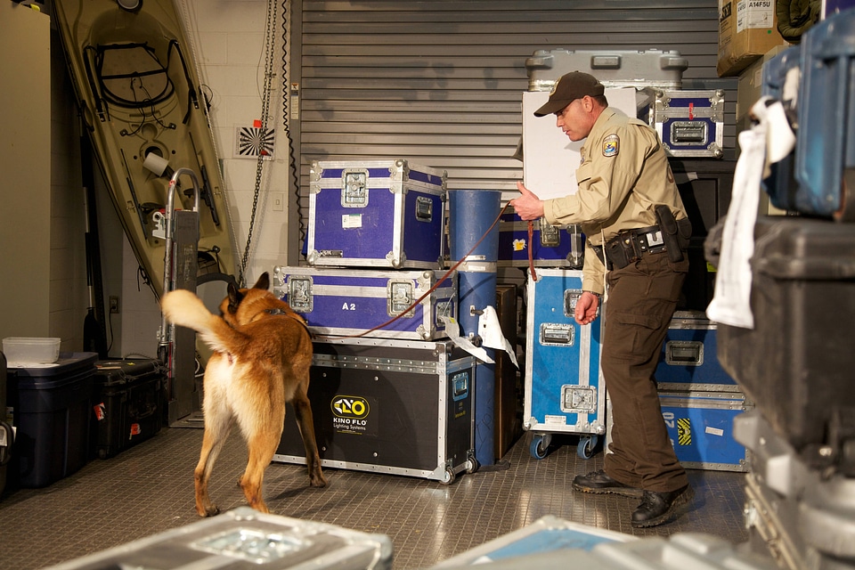 Law enforcement with K-9-1
