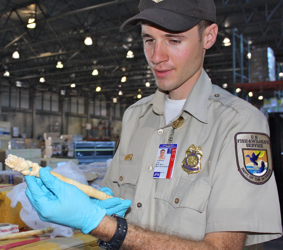 Inspector looks at an imported statue