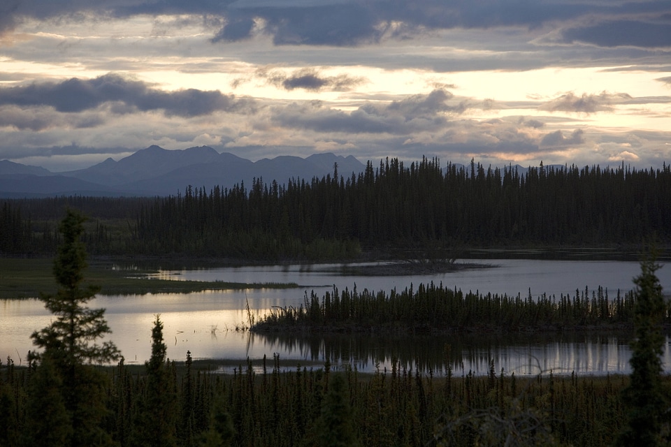 Scenic view at Tetlin National Wildlife Refuge
