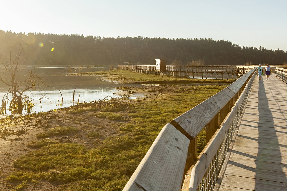 Refuge wetlands at Nisqually National Wildlife Refuge