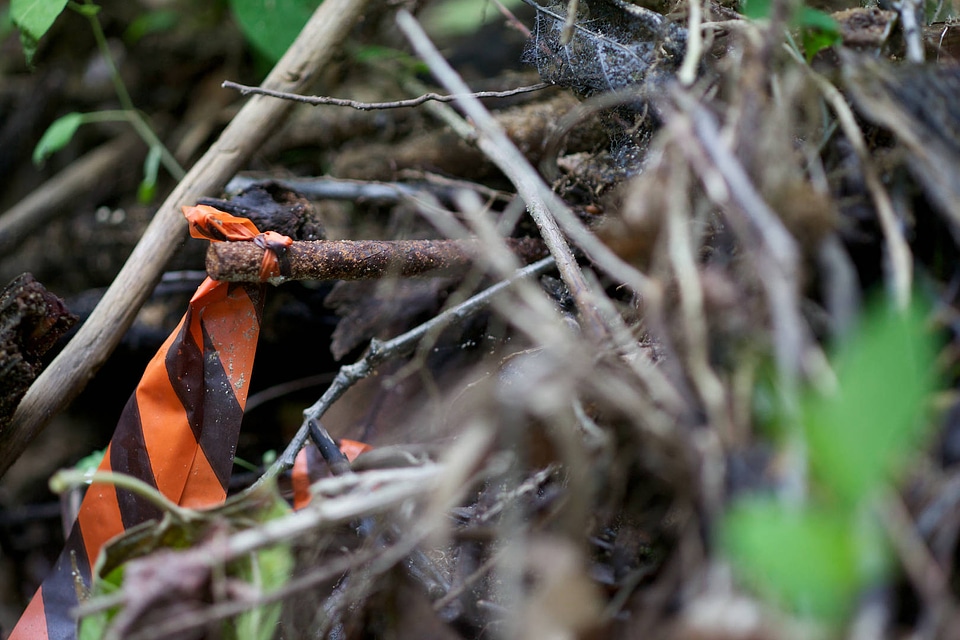 Flagging during river and stream assessment