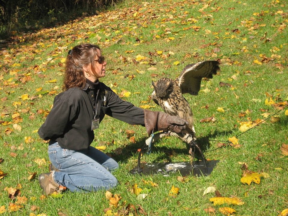 Master Falconer with Owl