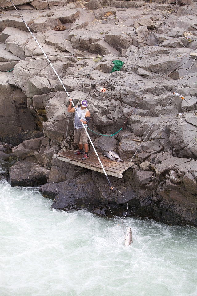Traditional dip netting