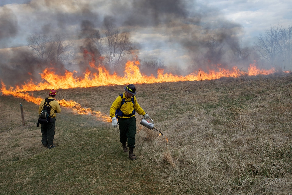 Prescribed burn at NCTC