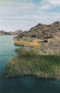 Havasu National Wildlife Refuge