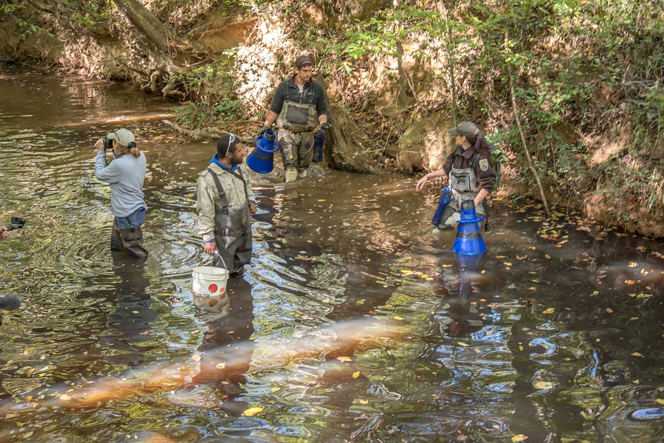 FWS mussel biologists from Orangeburg National Fish Hatchery