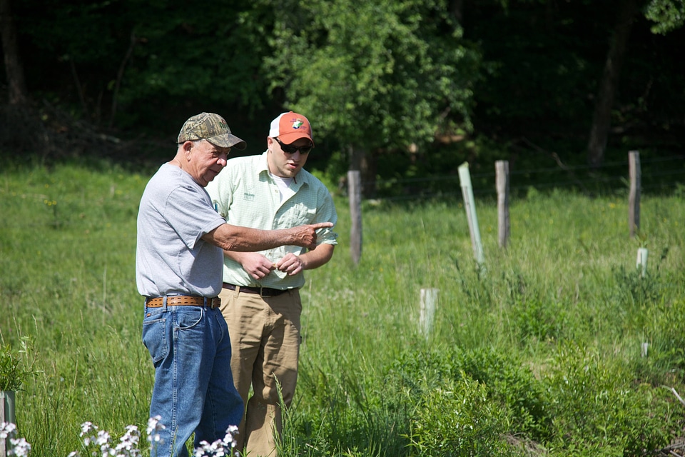 Brook Trout Restoration-4