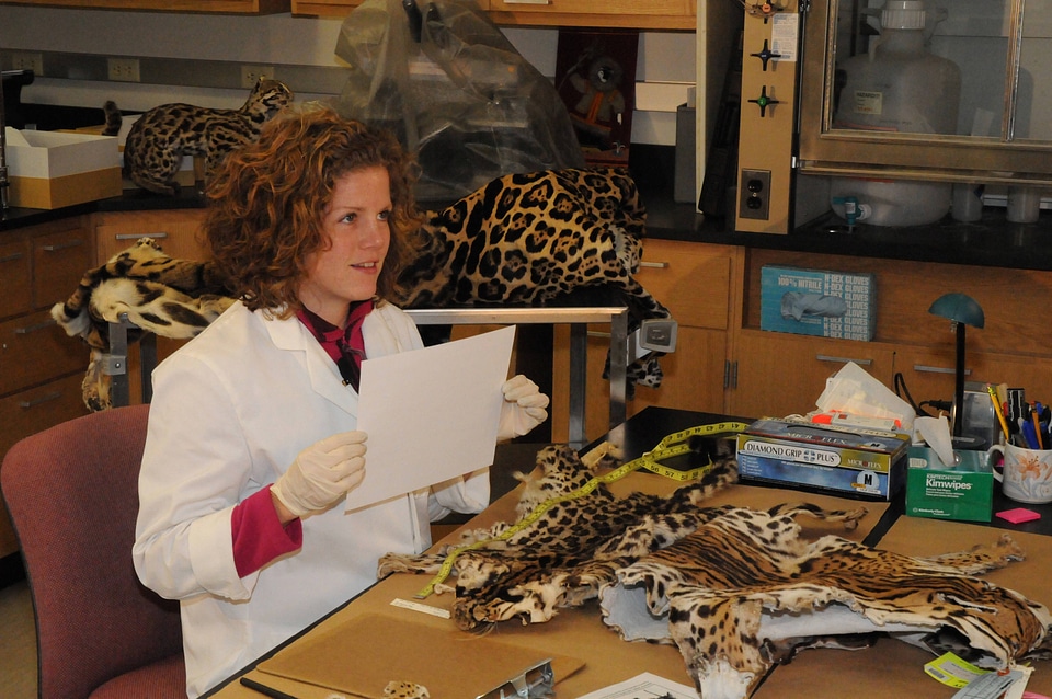 Ashland Forensics Lab-1