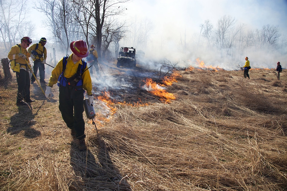 Firefighter torching grass in field