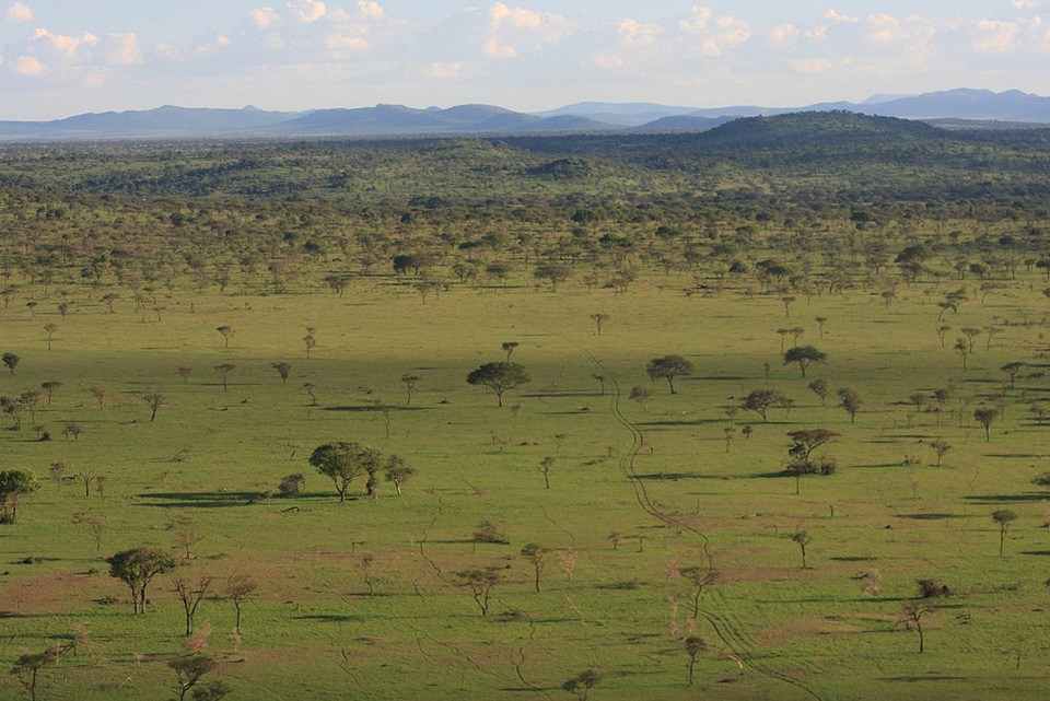 Rhino habitat in Africa