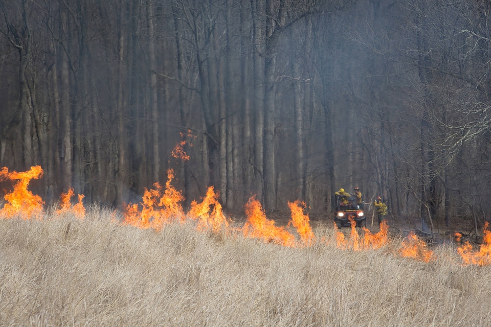Prescribed burn at NCTC-1