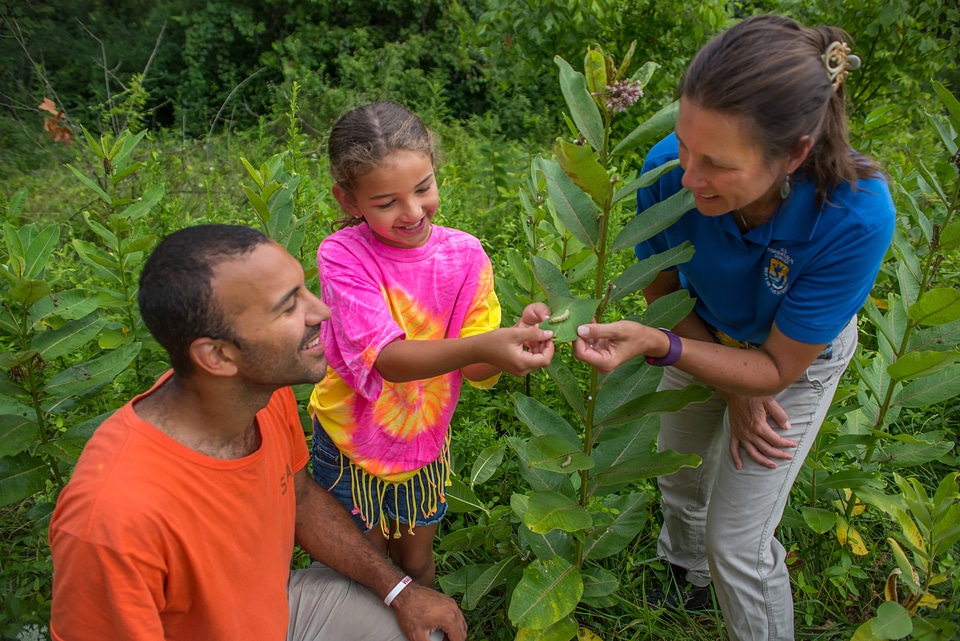 FWS employee shows a young girl (and dad) a Monarch caterpillar