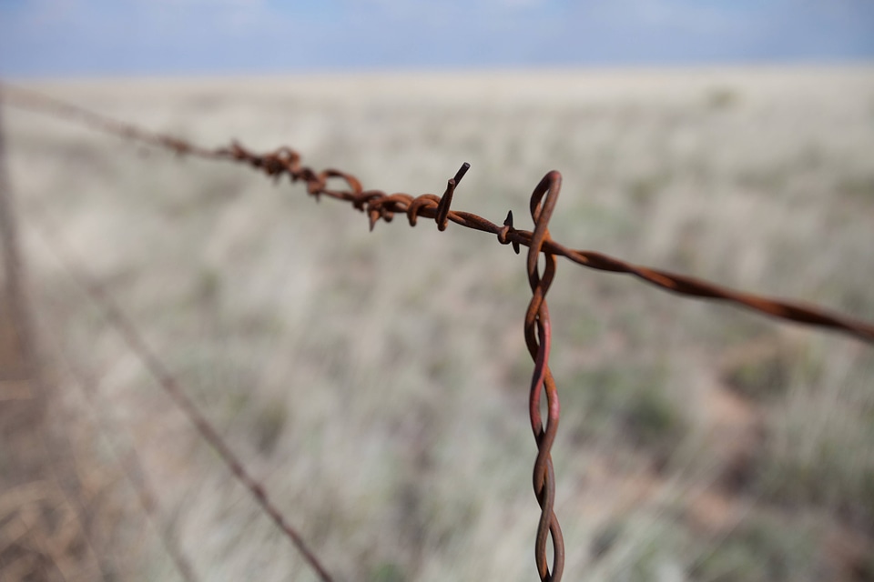 Scenic prairie and barbed wire