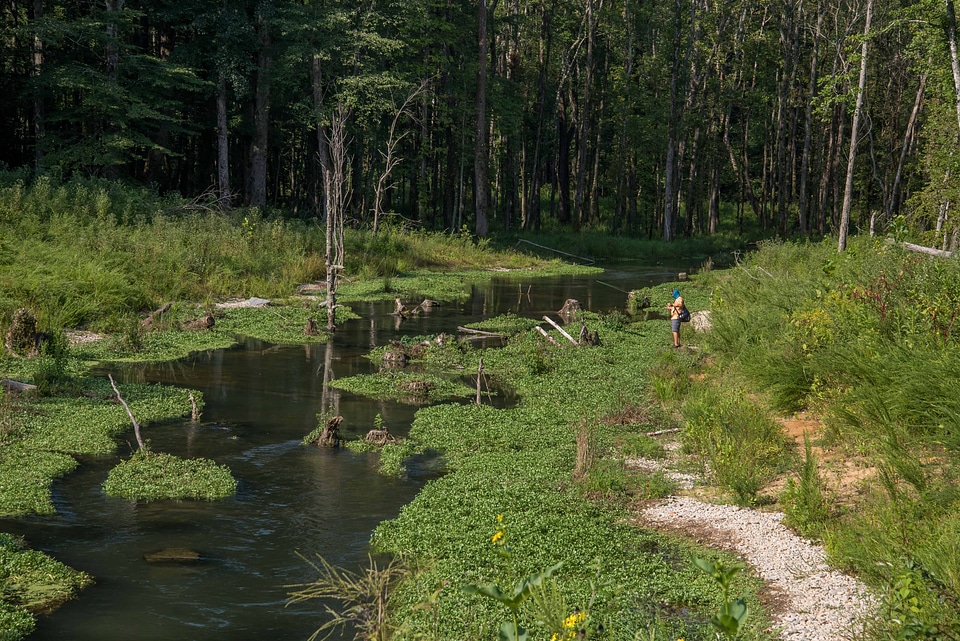 Hatchery Creek extension with fisherman