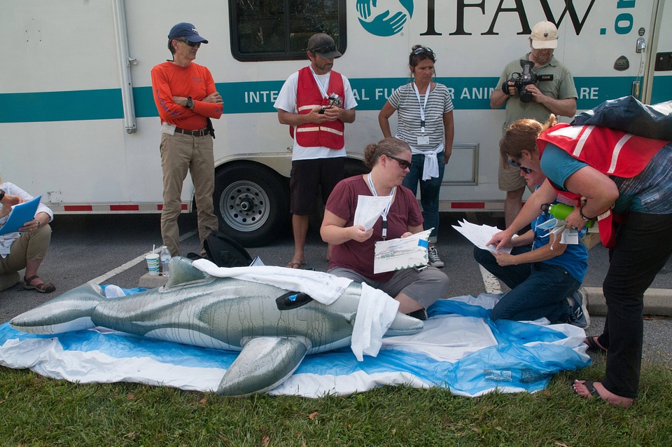 Marine Mammal Stranding Course at NCTC-1