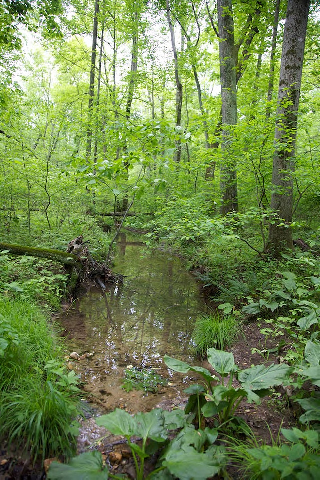 FWS employees surveying and assessing rivers and streams-1
