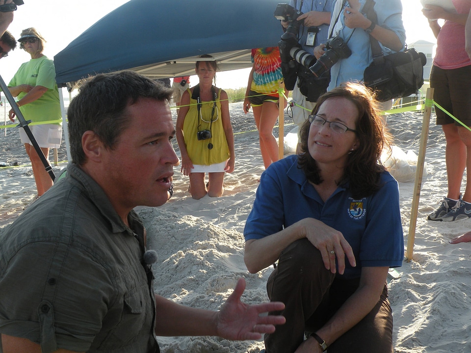 Sea turtle nest relocation-4