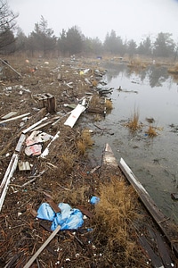 Storm damage scattered on the refuge