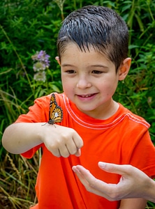 Tagged monarch on a little boy