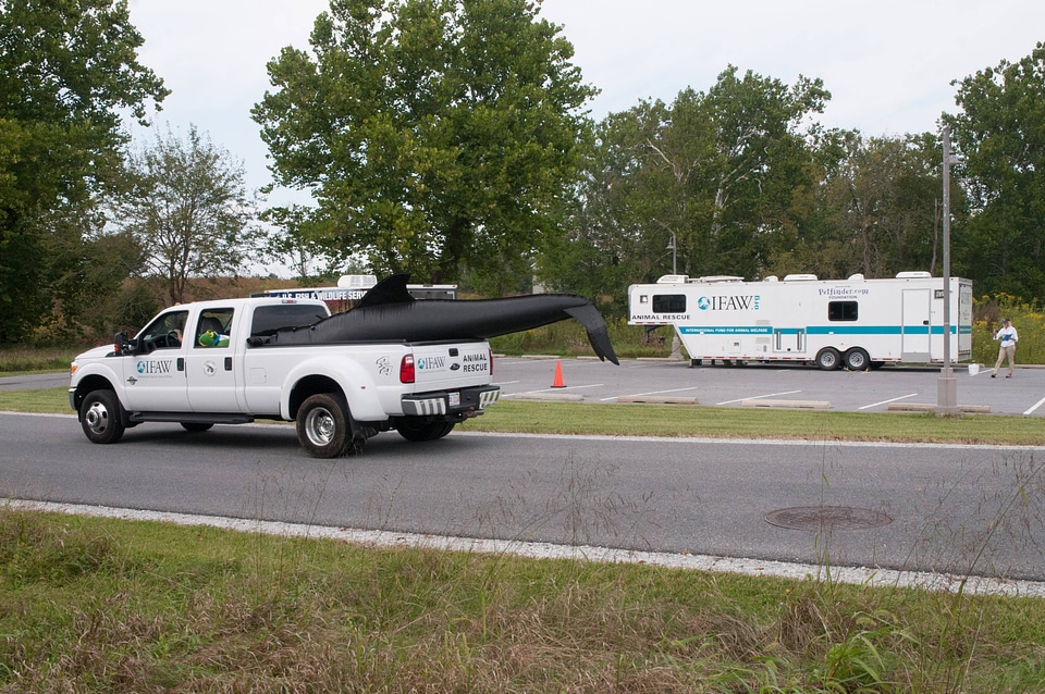 Marine Mammal Stranding Course at NCTC-2