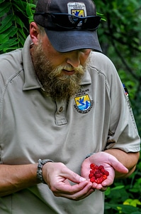 NCTC land management specialist with wine raspberries