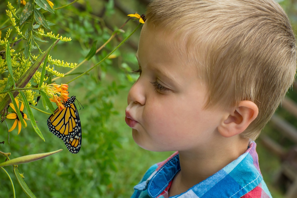 Little boy with monarch butterfly