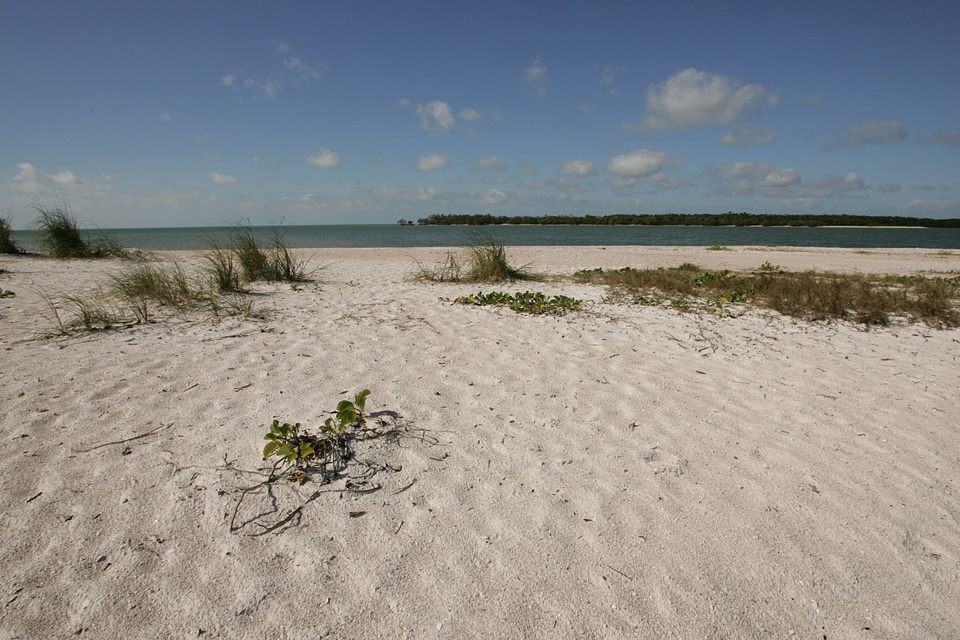 Beach at Ten Thousand Islands NWR