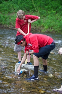 Collecting macroinvertebrates