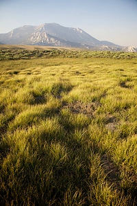 Sierra Nevada high alpine meadow photo