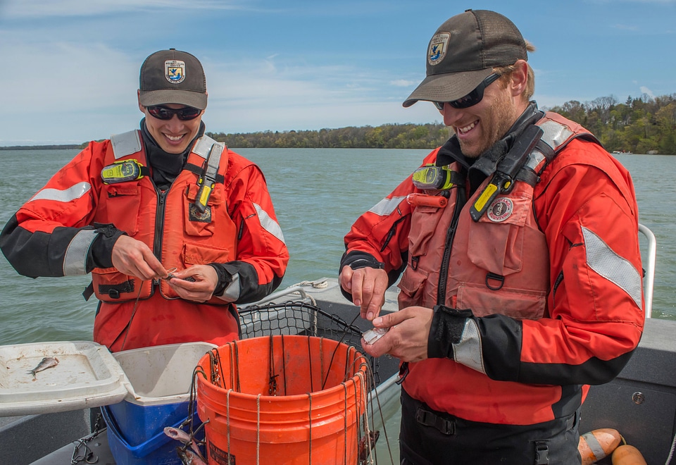 USFWS Fisheries crew baiting lines for lake sturgeon-1