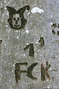 Symbol engraved eingeritzter tree