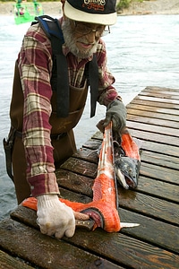 Man skinning a filleted fish photo