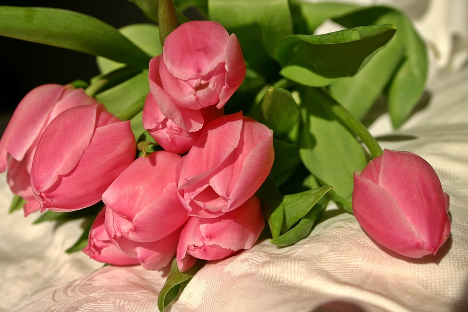 Flowers pink bouquet