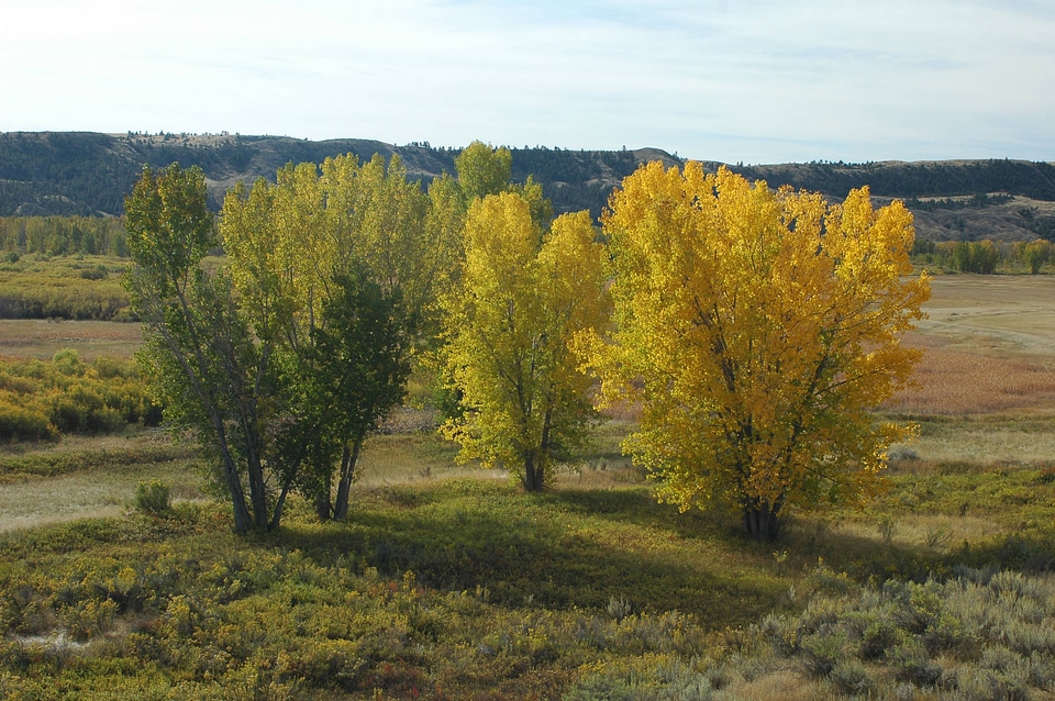 Fall colors at the Missouri River Valley