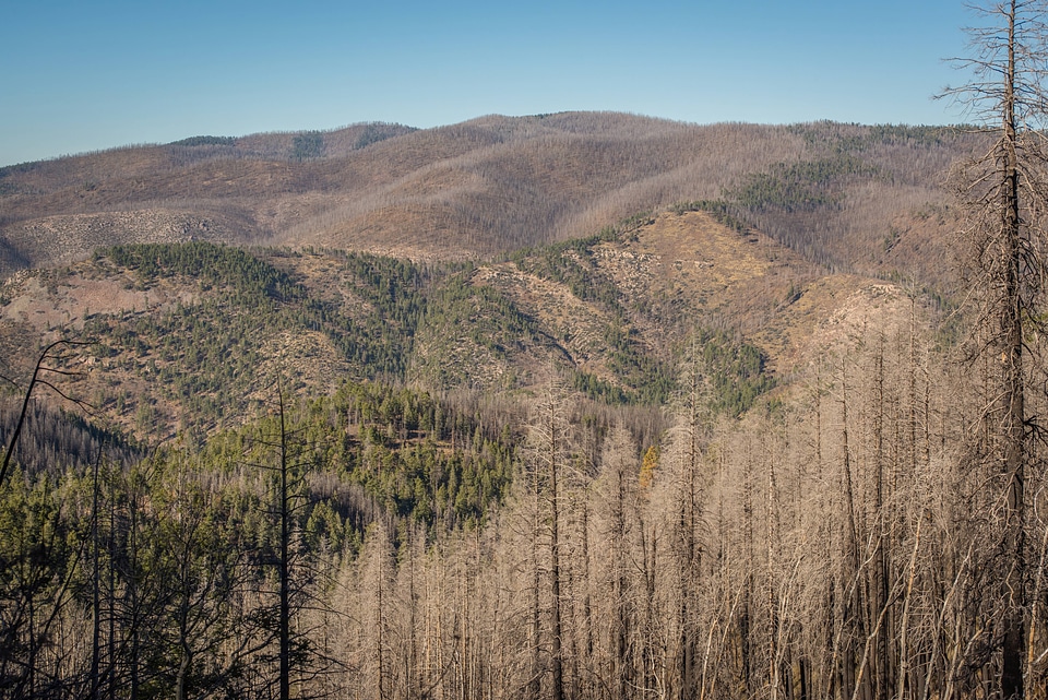 Area of Gila National Forest burned by Whitewater Baldy fire of 2012
