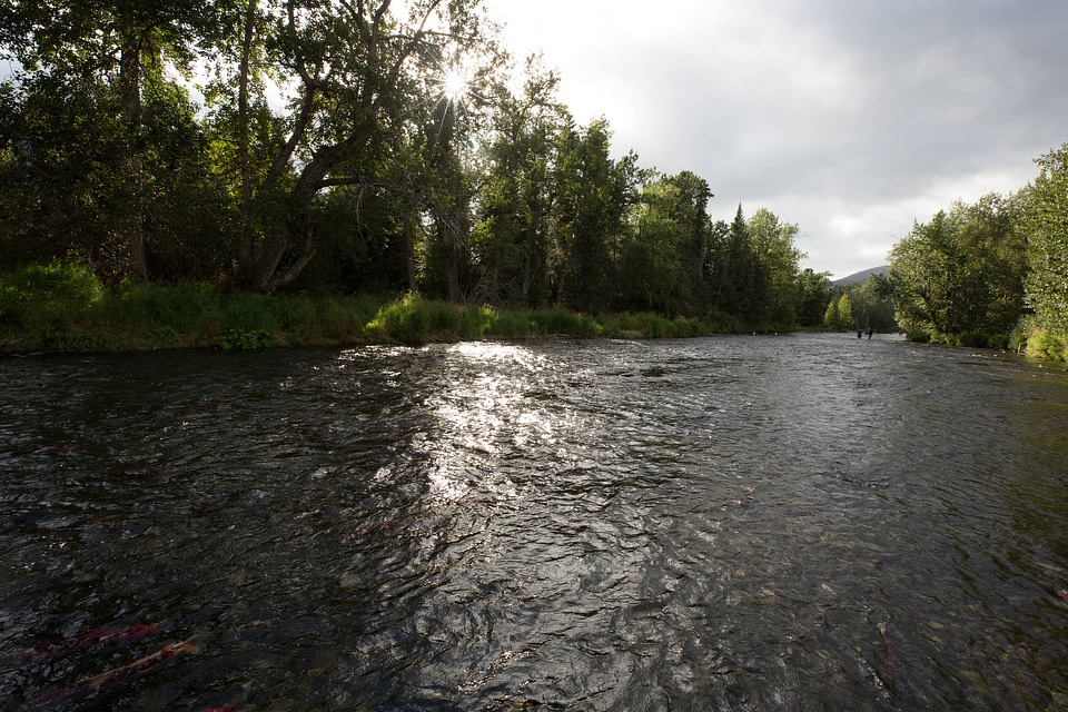  Russian River scenic