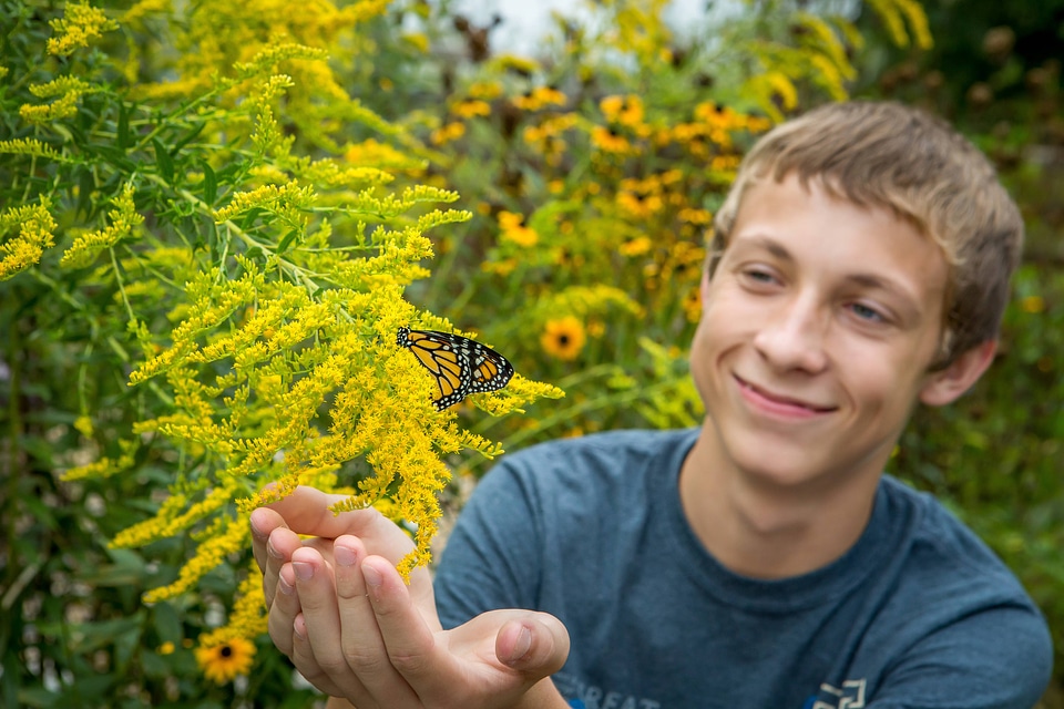 Teenage boy with monarch butterfly on goldenrod flowers